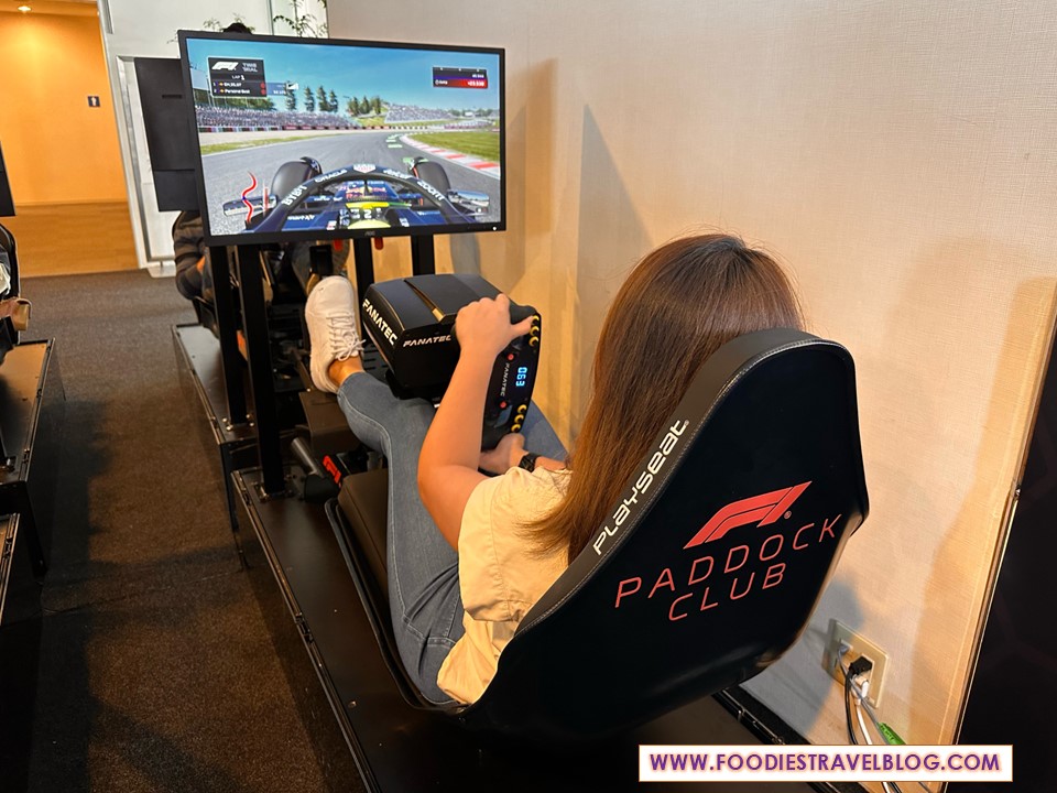 F1 simulator