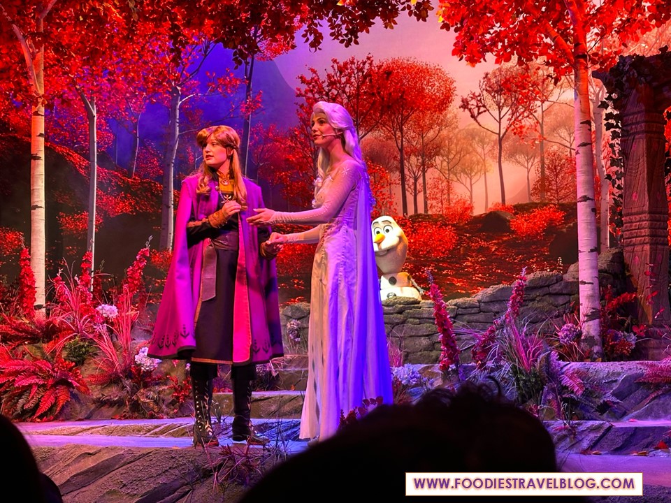 Frozen in Hong Kong DIsneyland